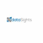 dataSights .co Profile Picture