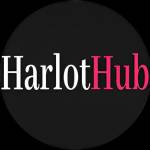 Haelot Hub Profile Picture